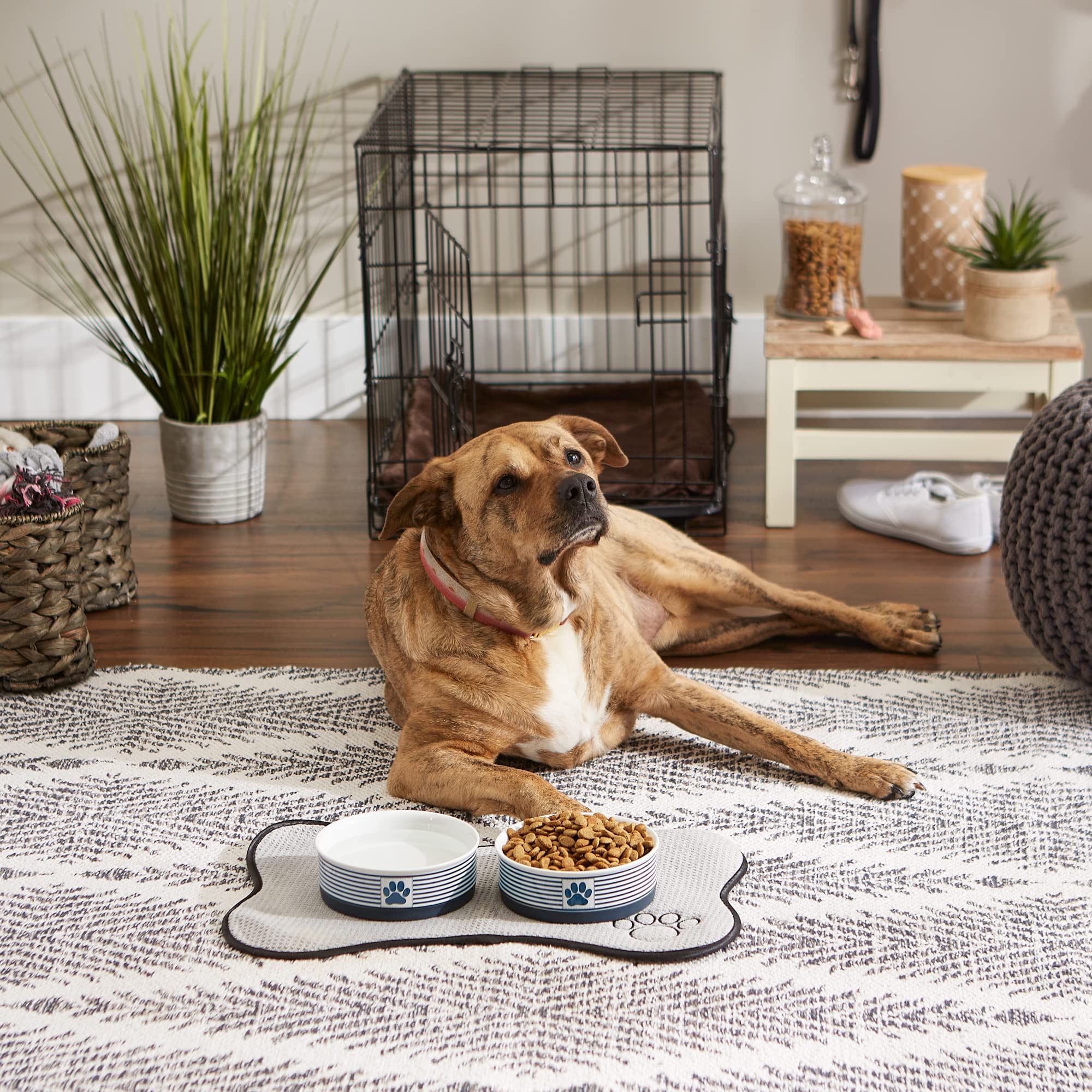 Bone Dry Paw Patch ceramic pet bowl silicone rim reduces sliding on slick floors.