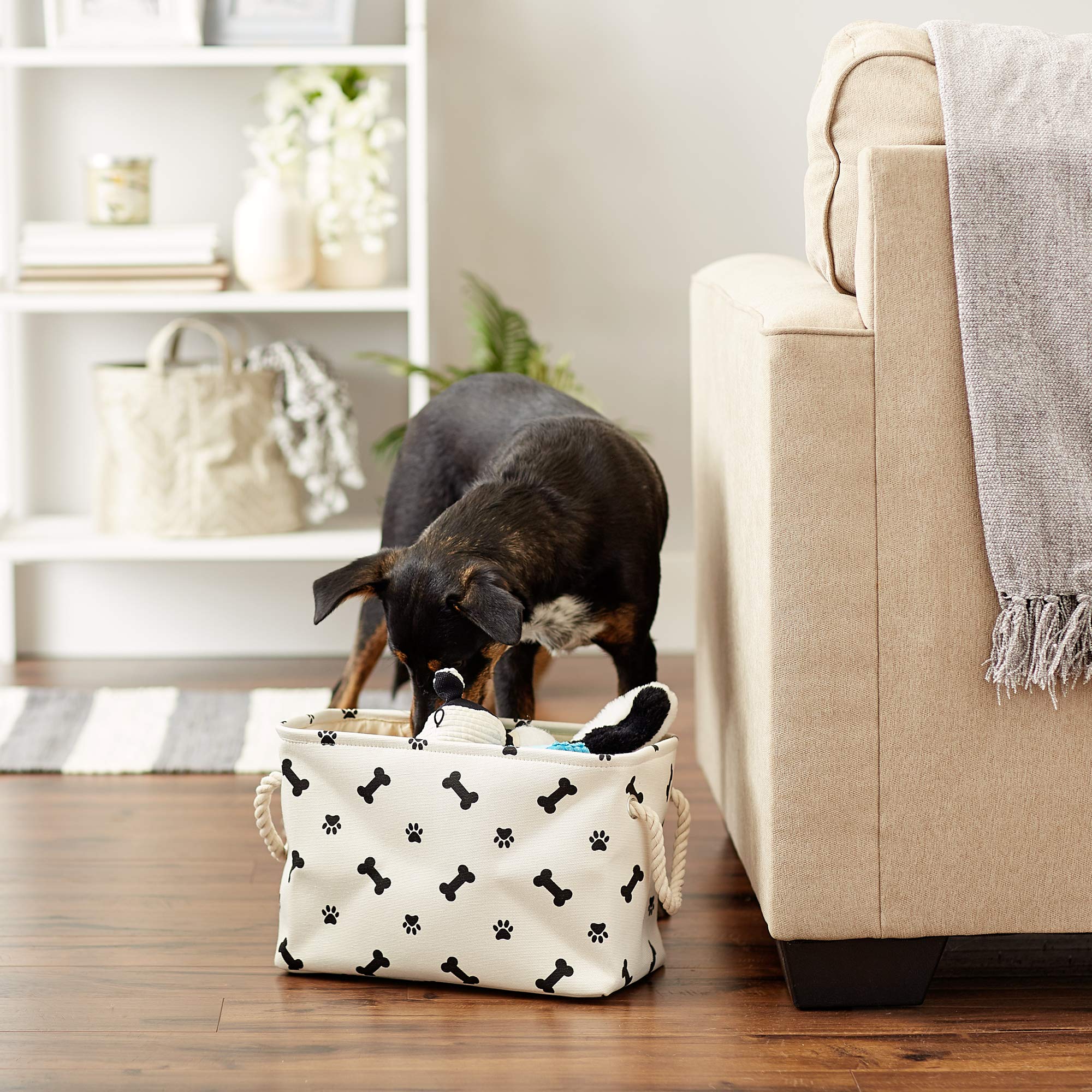 Bone Dry bin with treats and toys showcases practical organization for busy homes.