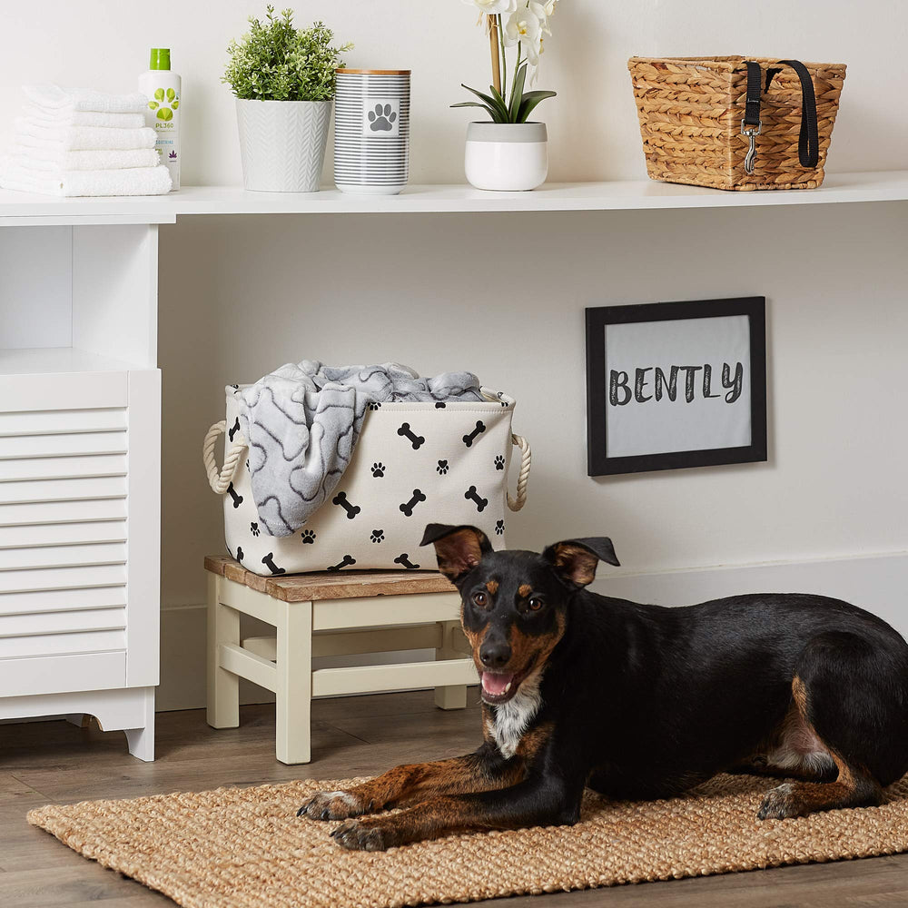 Bone Dry small-rectangle-bin standing demonstrates upright storage for leashes and toys.