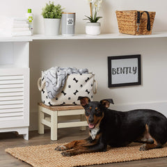 Bone Dry small-rectangle-bin standing demonstrates upright storage for leashes and toys.