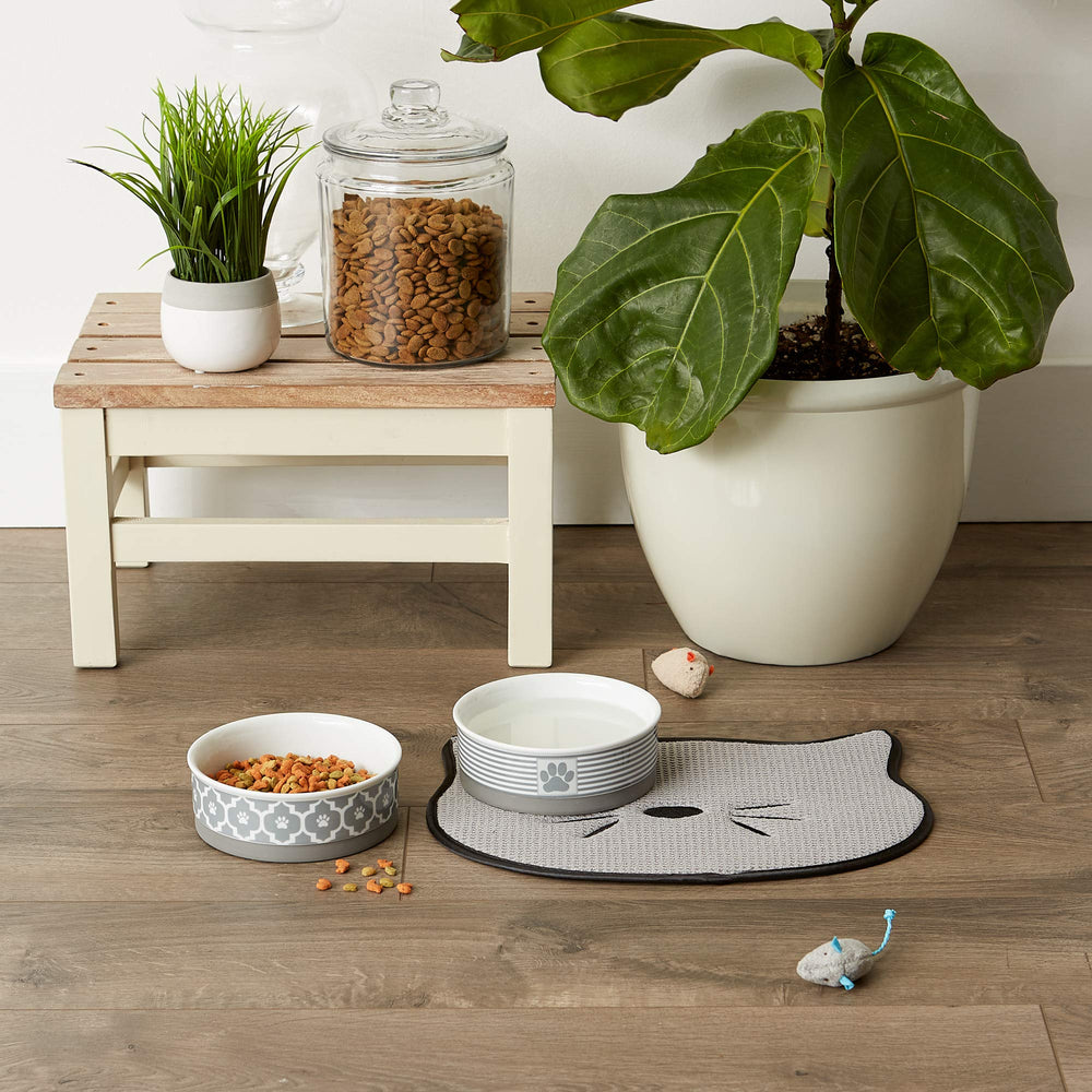 Bone Dry water spill protection helps reduce carpet and wood staining.