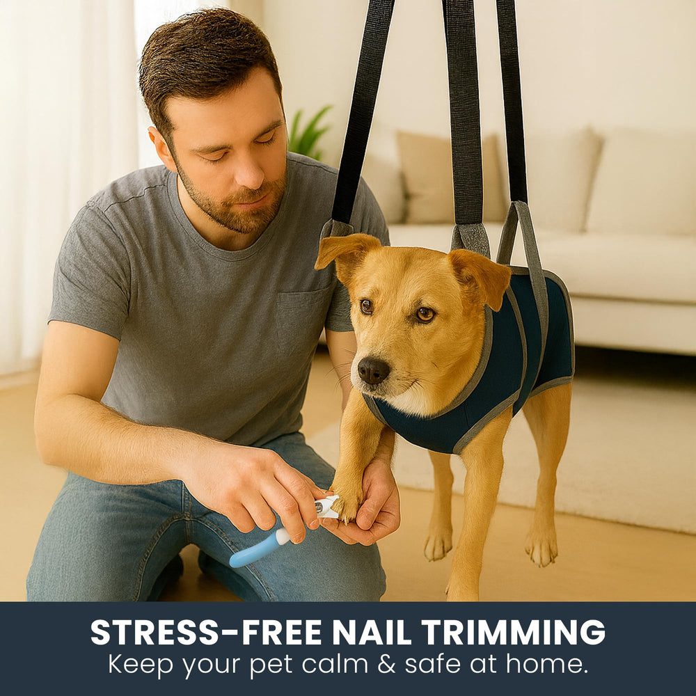 Bones and More Grooming Hammock Kit flea comb for precise irritation-free grooming.