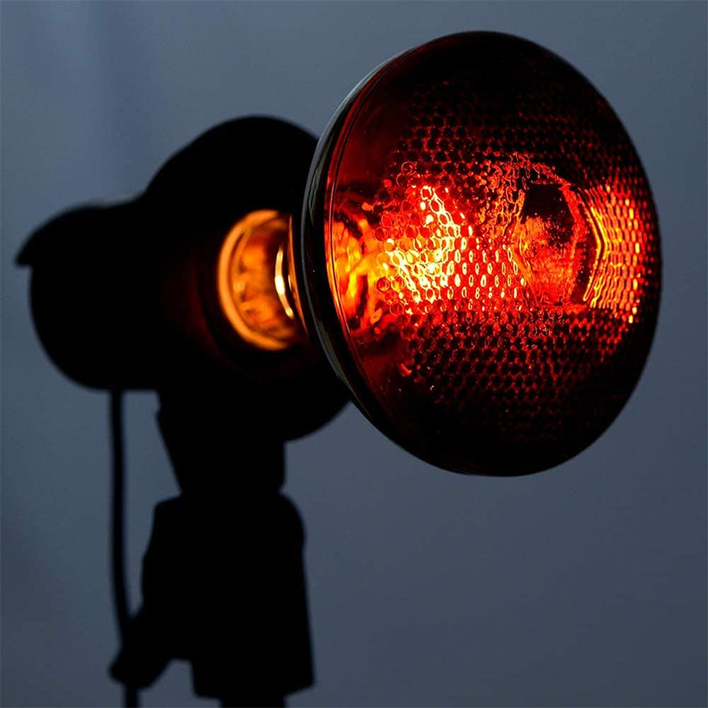 BONGBADA beaded-diffuse heat lamp highlights even heat distribution for pets.