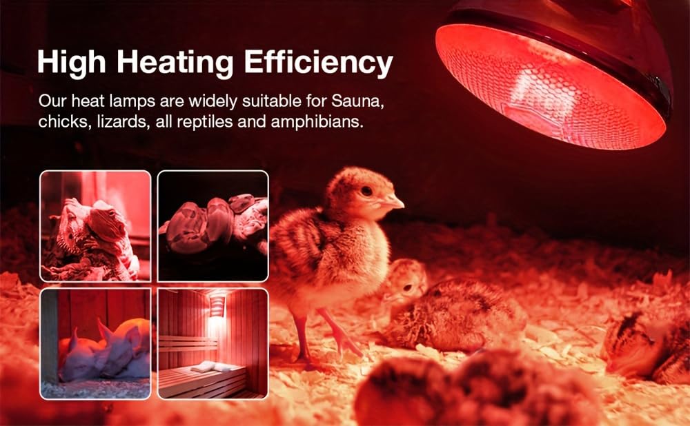 BONGBADA diffused-light-bulb-surface promotes uniform heat distribution for reptiles or pets.