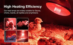 BONGBADA diffused-light-bulb-surface promotes uniform heat distribution for reptiles or pets.