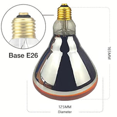 BONGBADA e26 base installation demonstrating easy indoor setup for heat lamp.