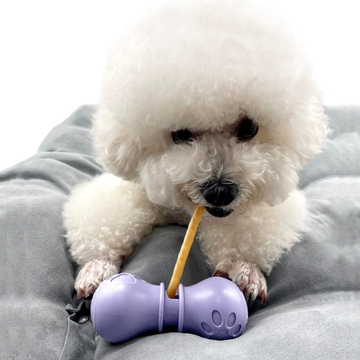 BoniVet bully-stick-holder compact purple small securely grips chews for safer play.