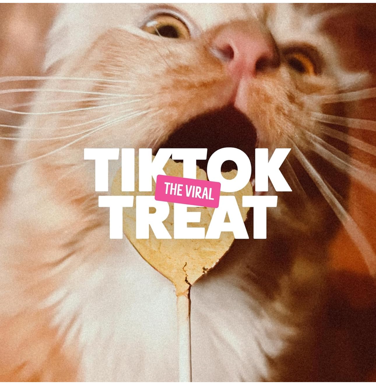 Bonkers Purrpops served on plate for treat time