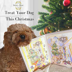 Bonne et Filou 2025 Advent Calendar 24 doors closeup, provides daily dog treats for December.