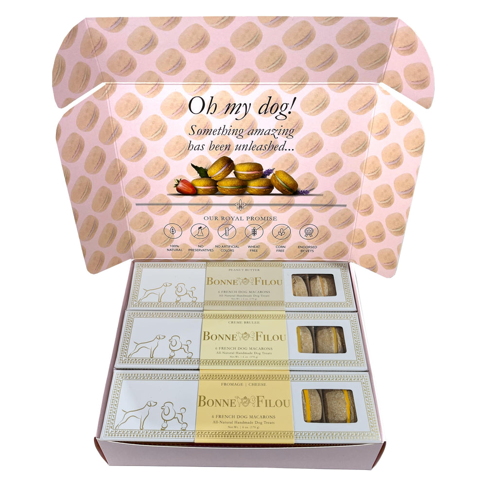 Bonne et Filou Christmas macarons box ready for gifting
