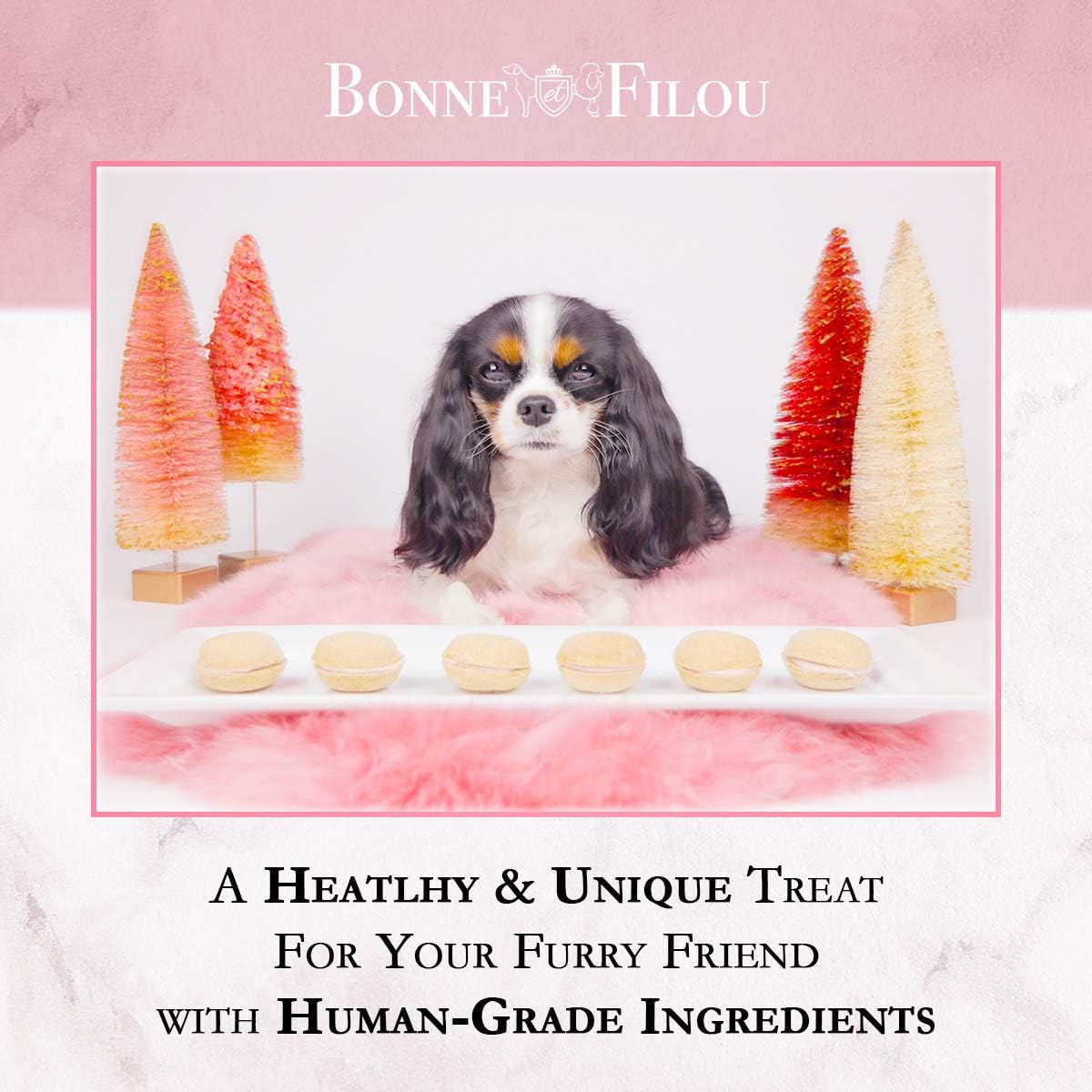 Bonne et Filou treats require no refrigeration and stay fresh at room temperature.