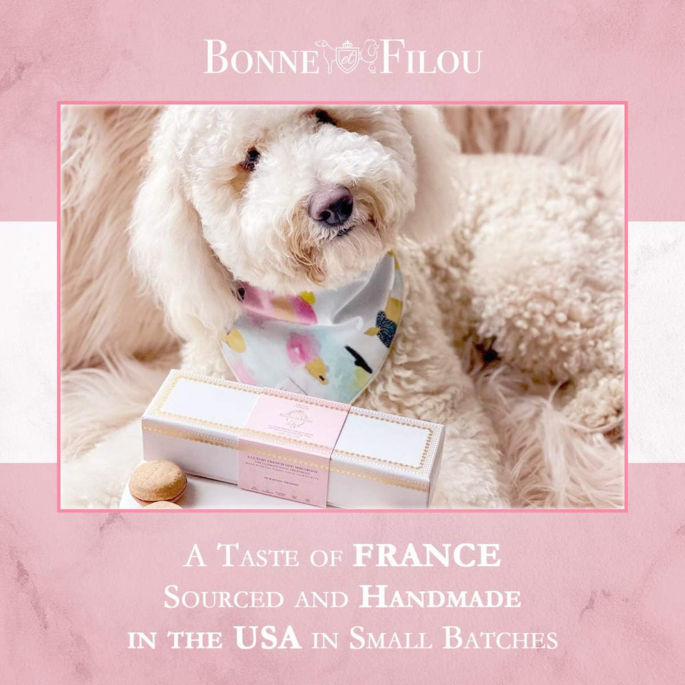 Bonne et Filou 6-count box ideal for birthdays, holidays, and dog moments.