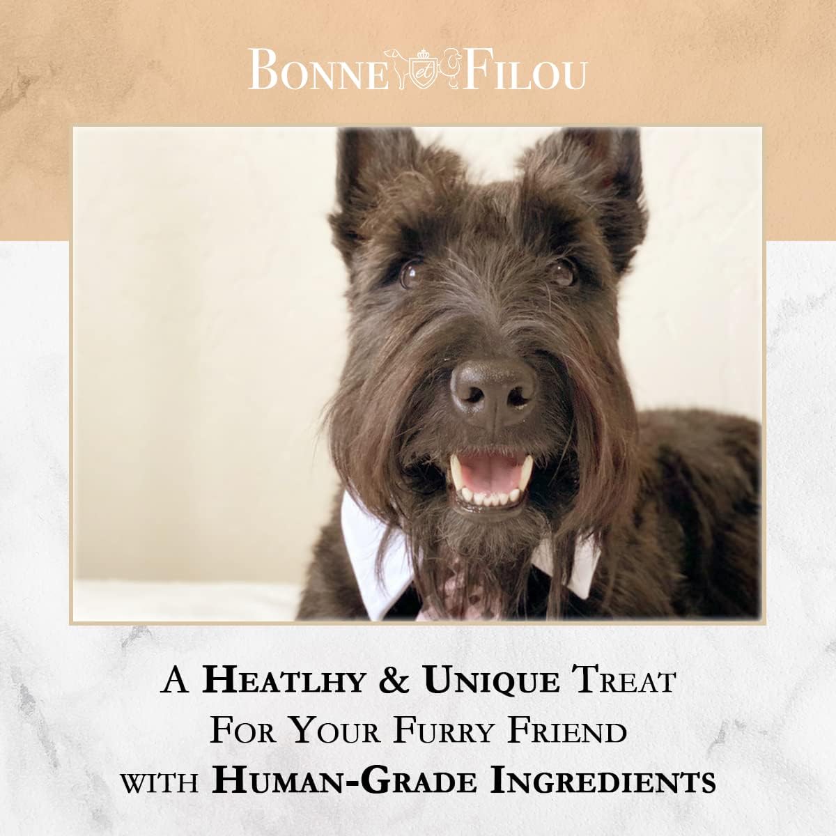 Bonne et Filou dog birthday cake alternative for dogs with peanut butter flavor