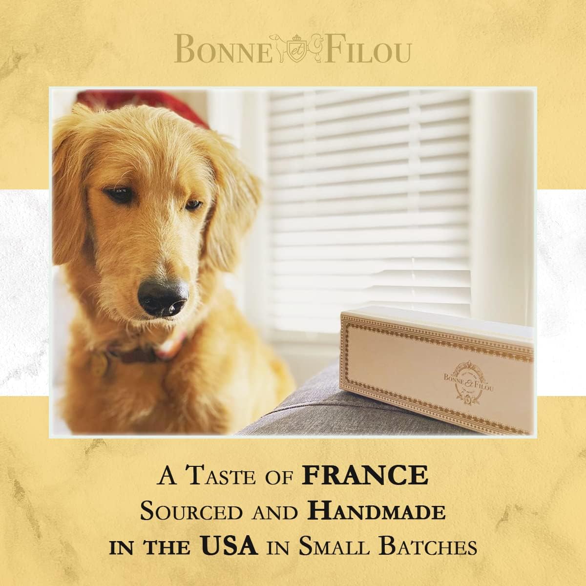 Bonne et Filou dog chewing macarons, satisfying treat for rewarding moments.