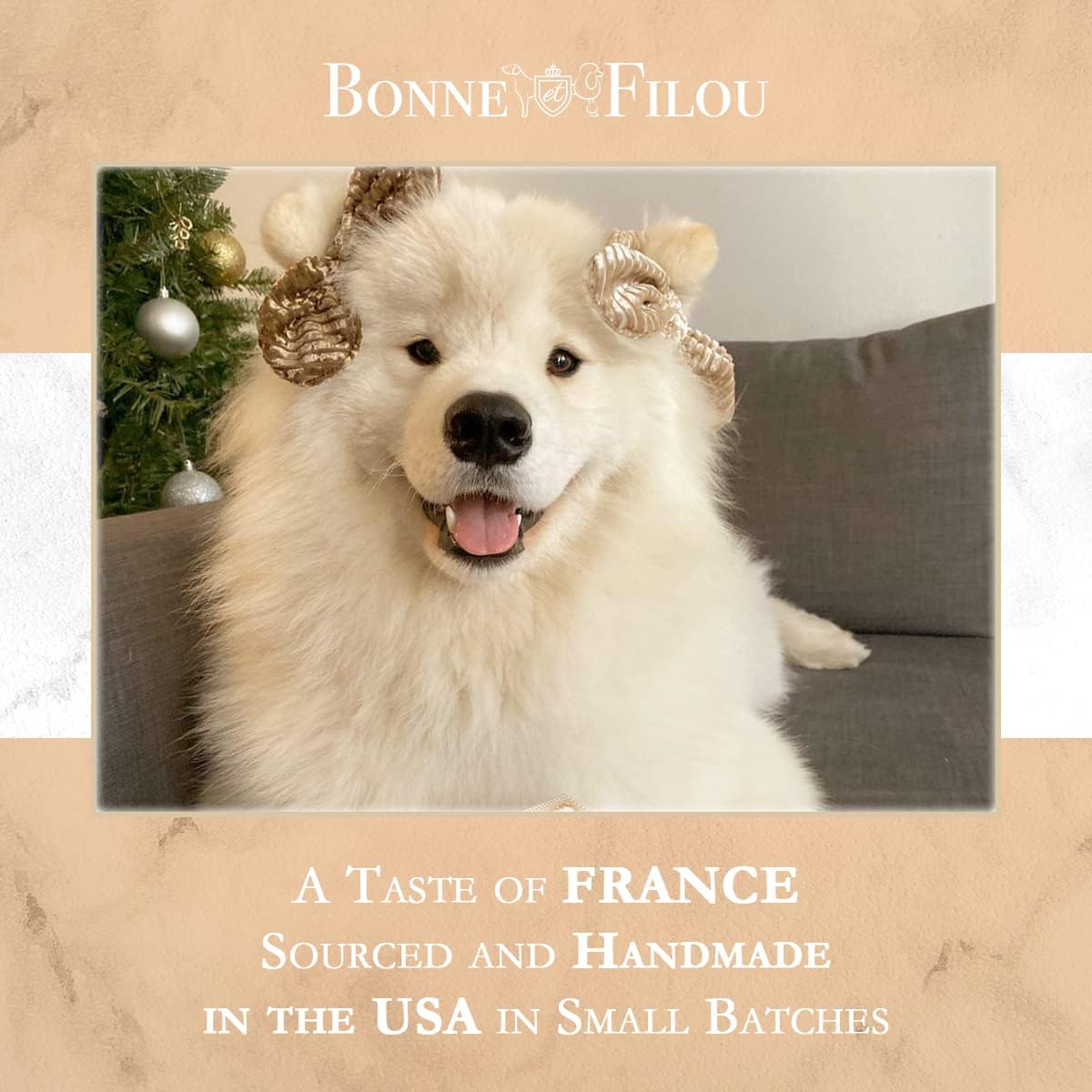 Bonne et Filou human-grade snacks for dogs suitable as long-lasting rewards