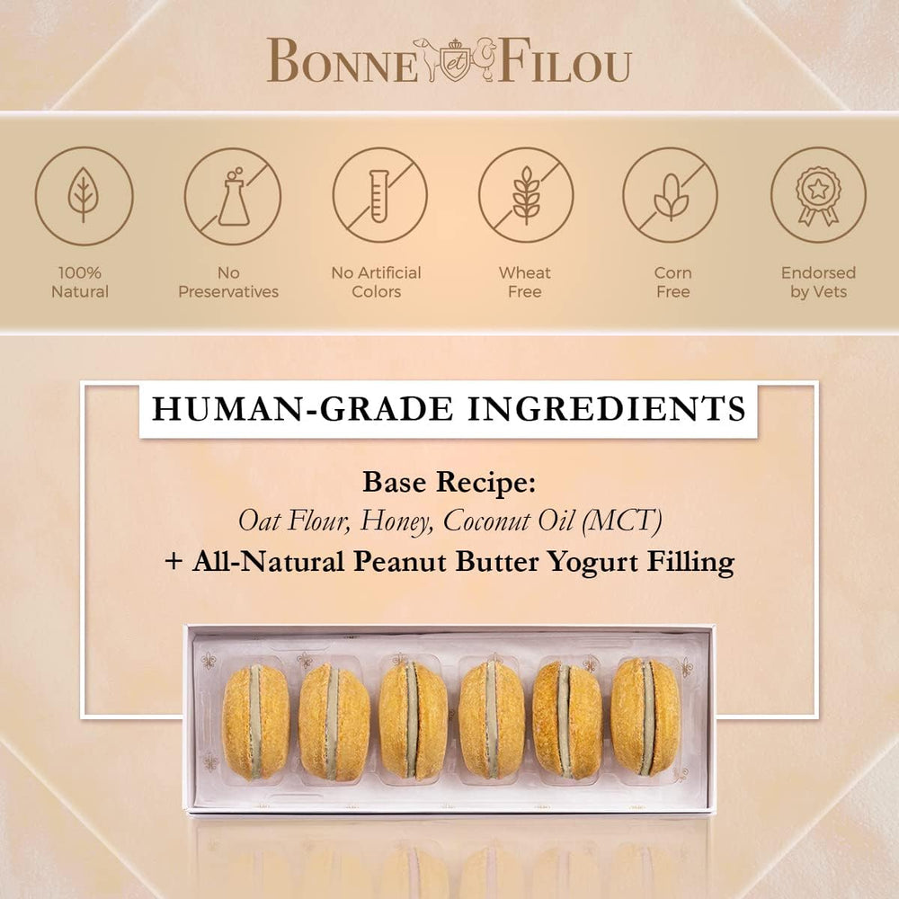 Bonne et Filou peanut butter cupcakes closeup showcasing gourmet dog treat with real ingredients
