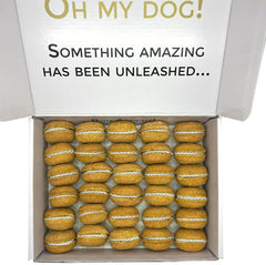Bonne et Filou vanilla macarons open box showing easy portions