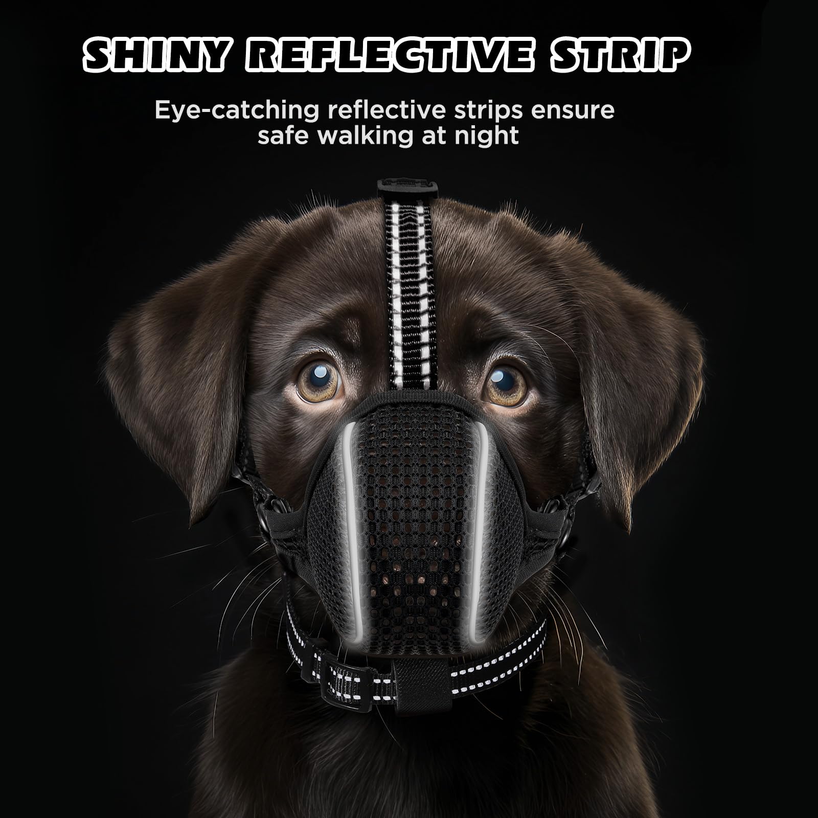 BONTHEE foldable muzzle stores compactly for quick trips.