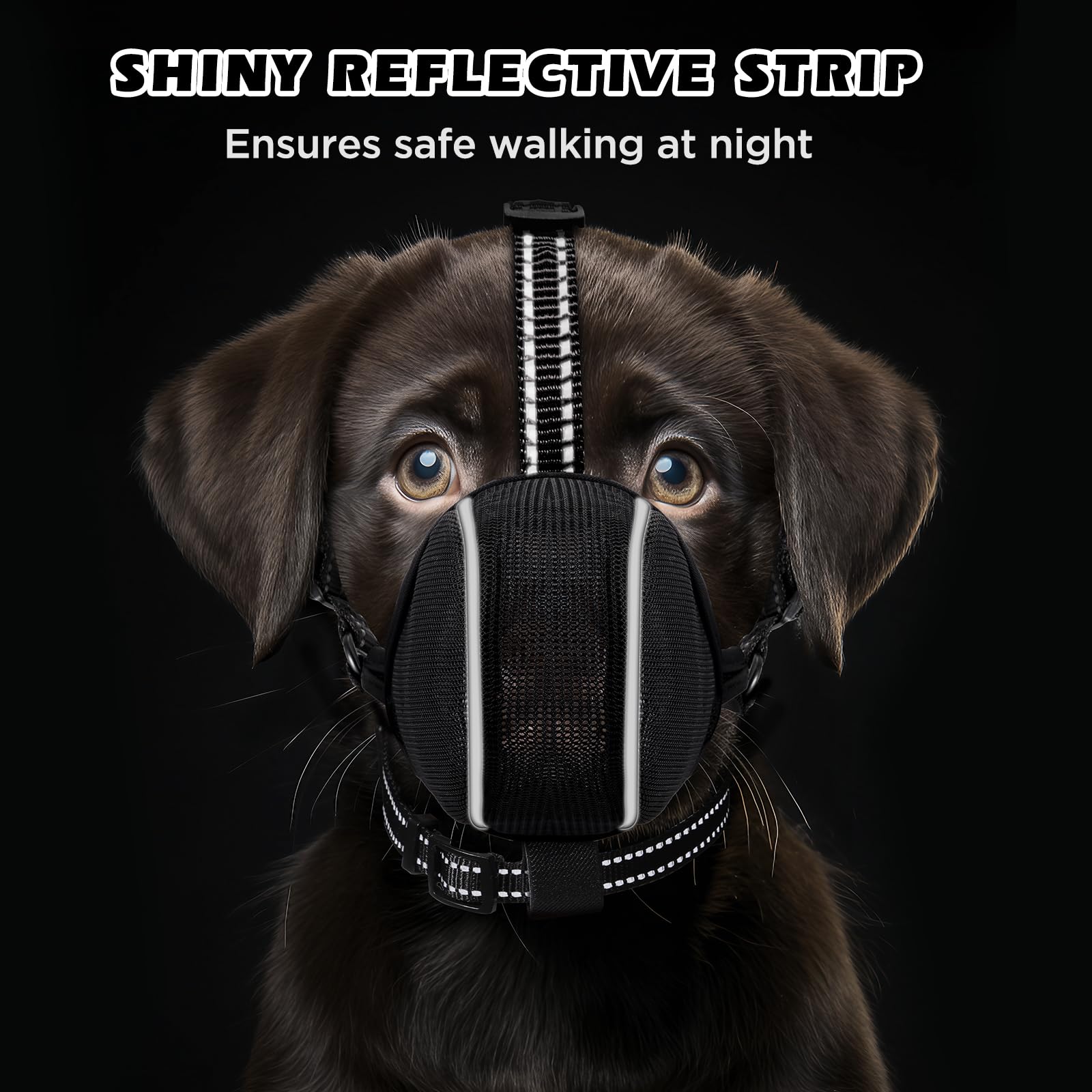 BONTHEE muzzle shown during grooming and nail trimming sessions.