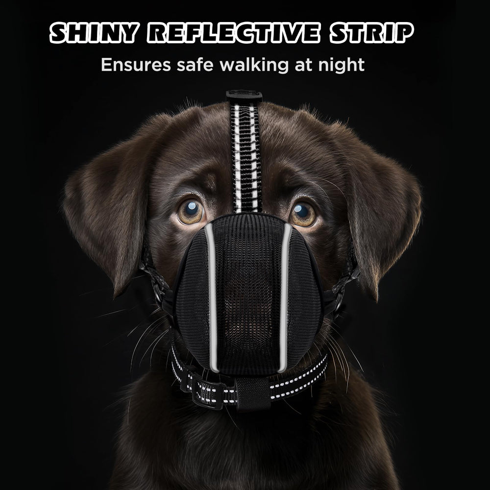 BONTHEE muzzle shown during grooming and nail trimming sessions.
