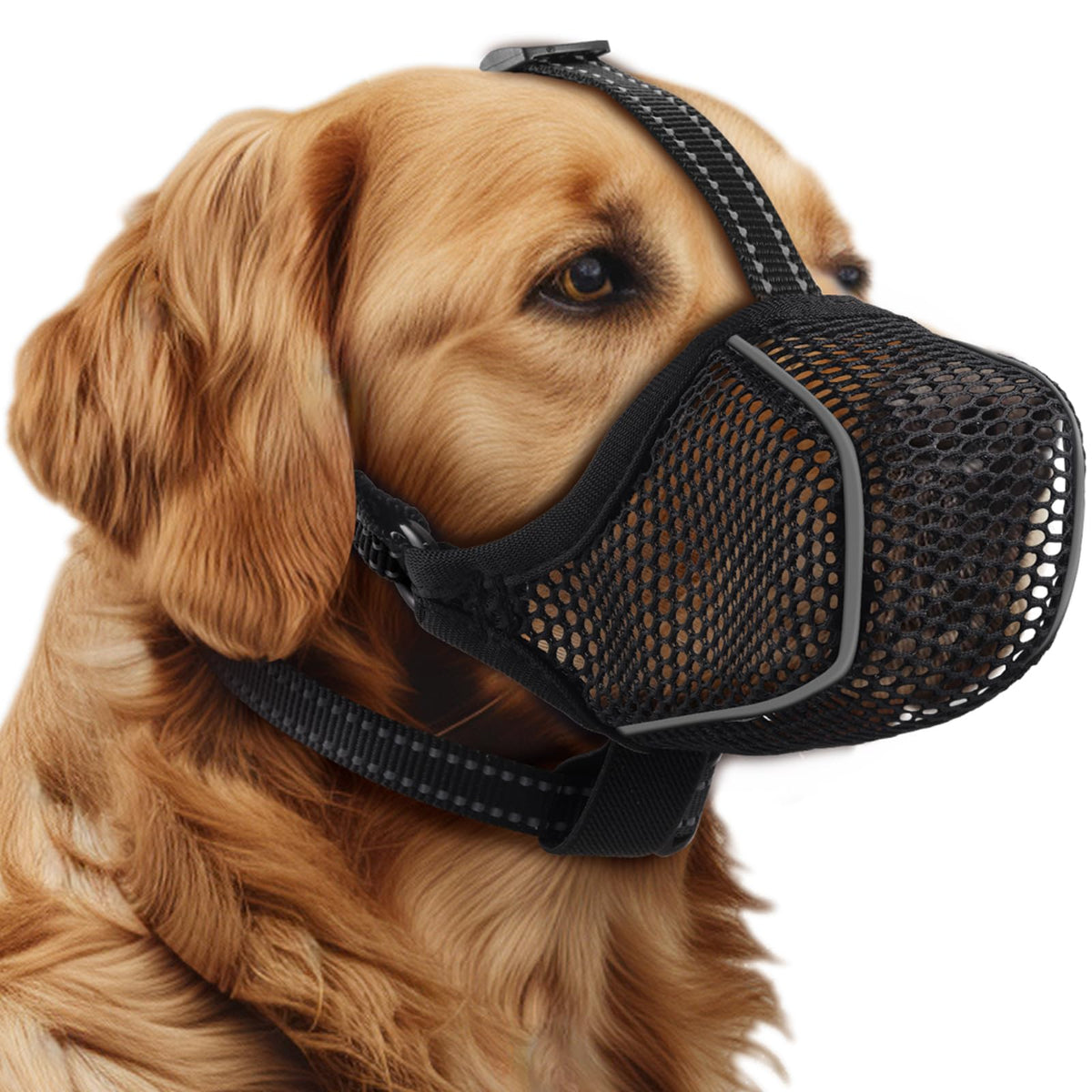 Bonthee dog muzzle soft mesh for comfortable wear during daily walks.