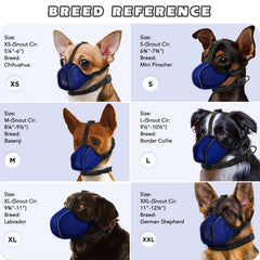 BONTHEE muzzle features triple protection against chewing and scavenging during walks.