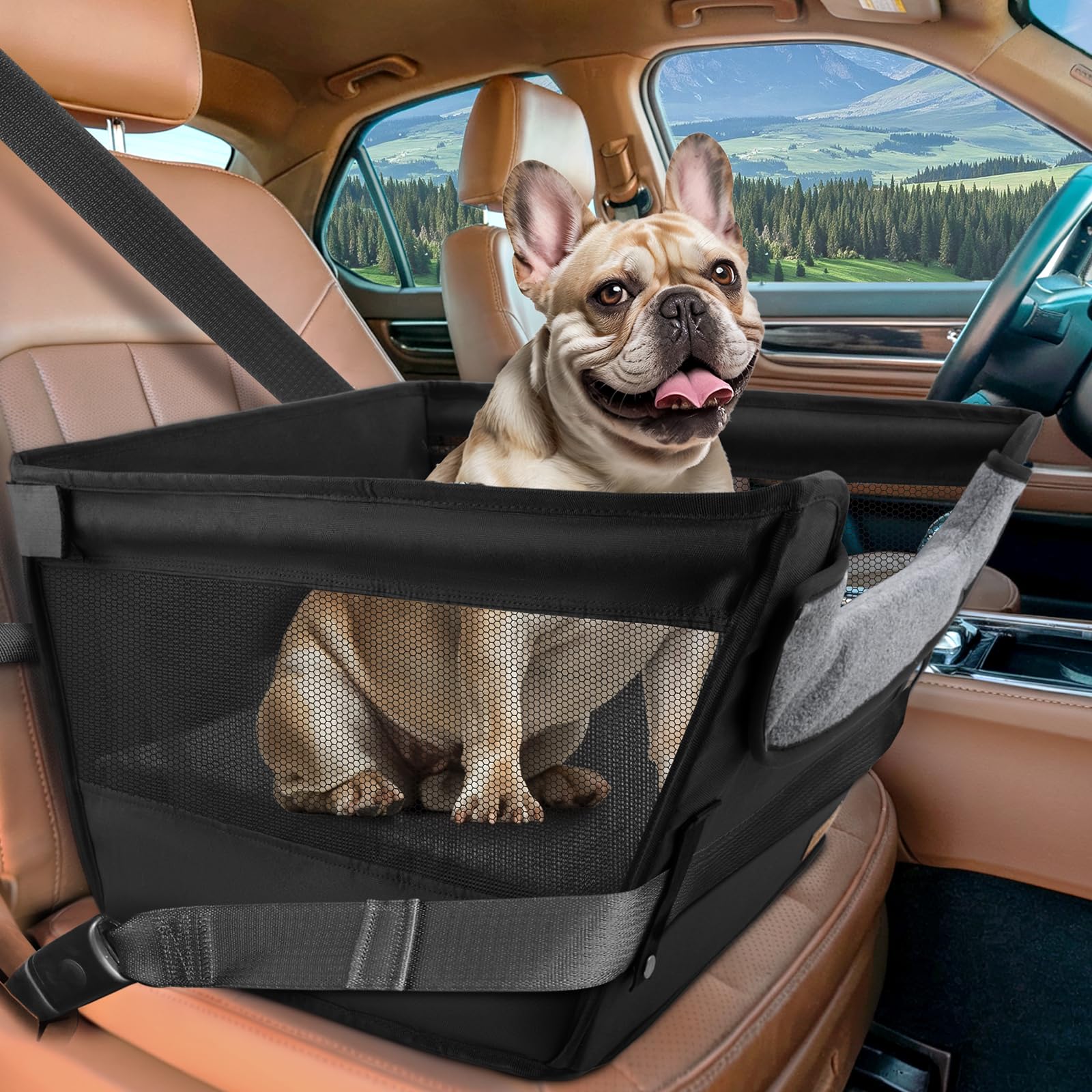 Bonthee elevated seat front view for clearer pet visibility on trips.