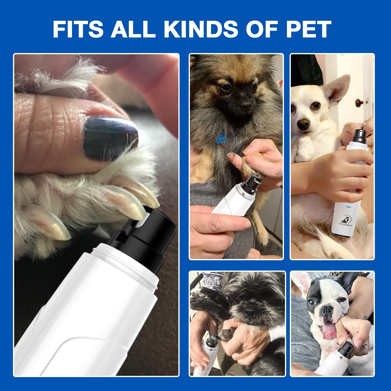 Bonve Pet safety-first diamond bit with low-noise motor for safe trimming.