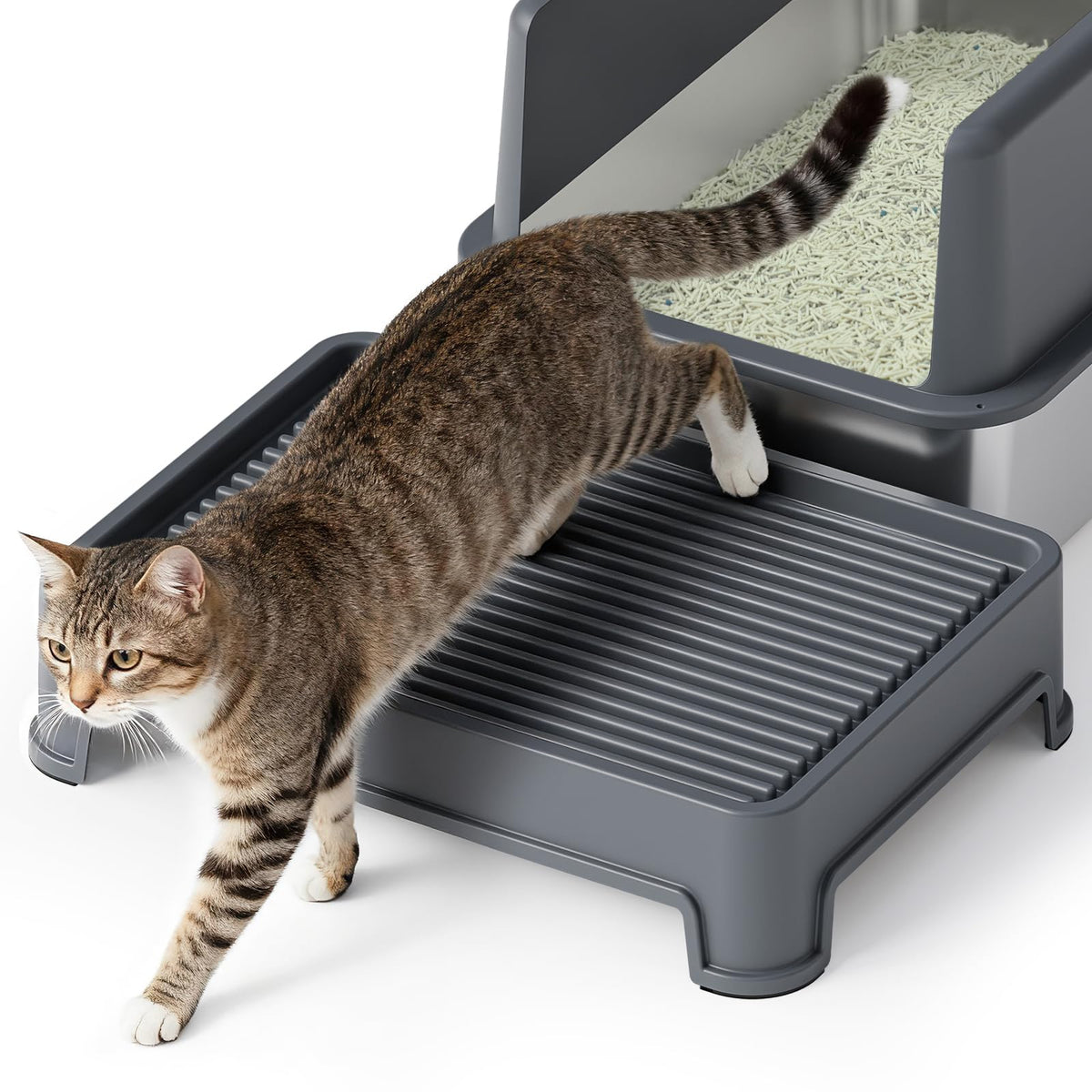 Booche cat ramp side view demonstrates compatibility and mess containment.