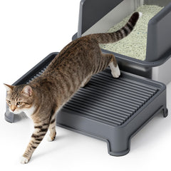 Booche cat ramp side view demonstrates compatibility and mess containment.