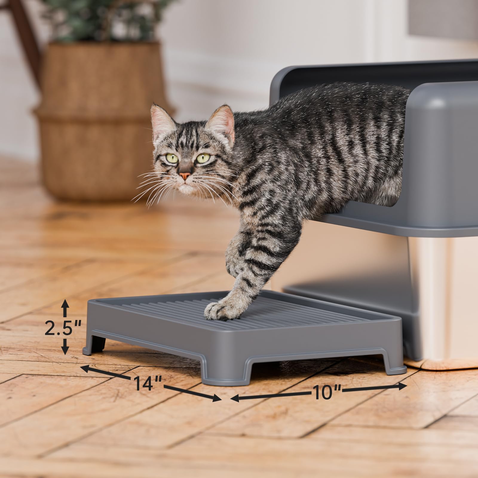 Booche easy-clean mat enables quick maintenance after use.