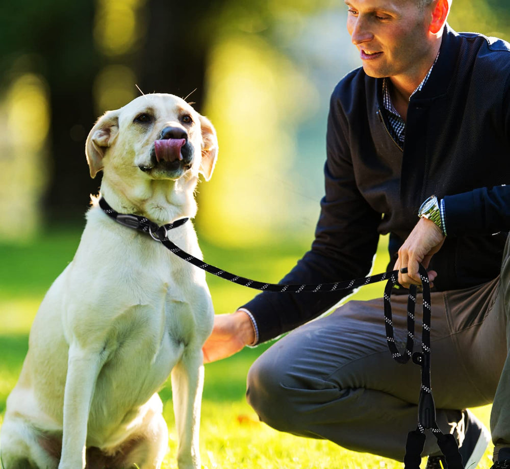 BOOEUDI black-dog-leash-closeup highlights premium materials and secure grip.