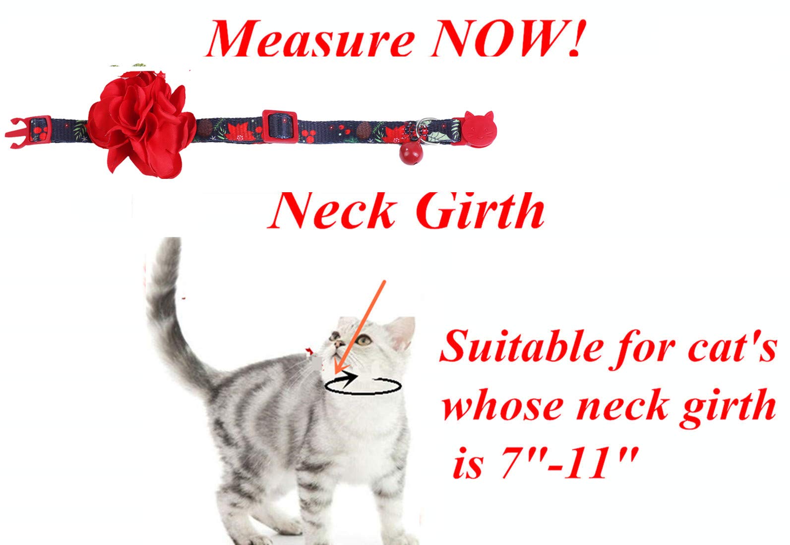 BoomBone festive pet collar worn during a holiday celebration.