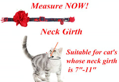 BoomBone festive pet collar worn during a holiday celebration.
