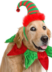 BoomBone dog elf hat headband adds festive charm for holiday photos.