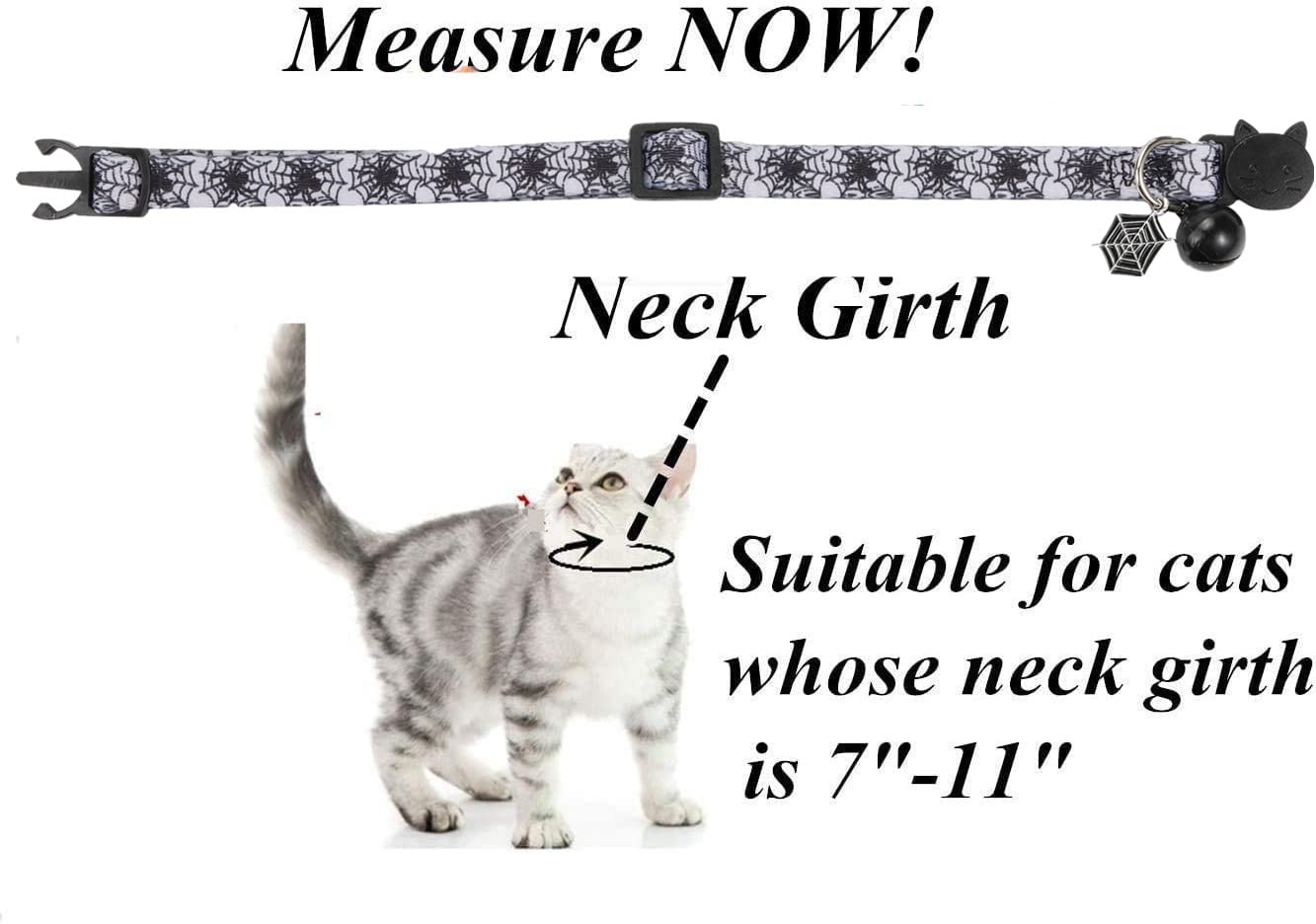 BoomBone cat wearing Halloween collar showing holiday style
