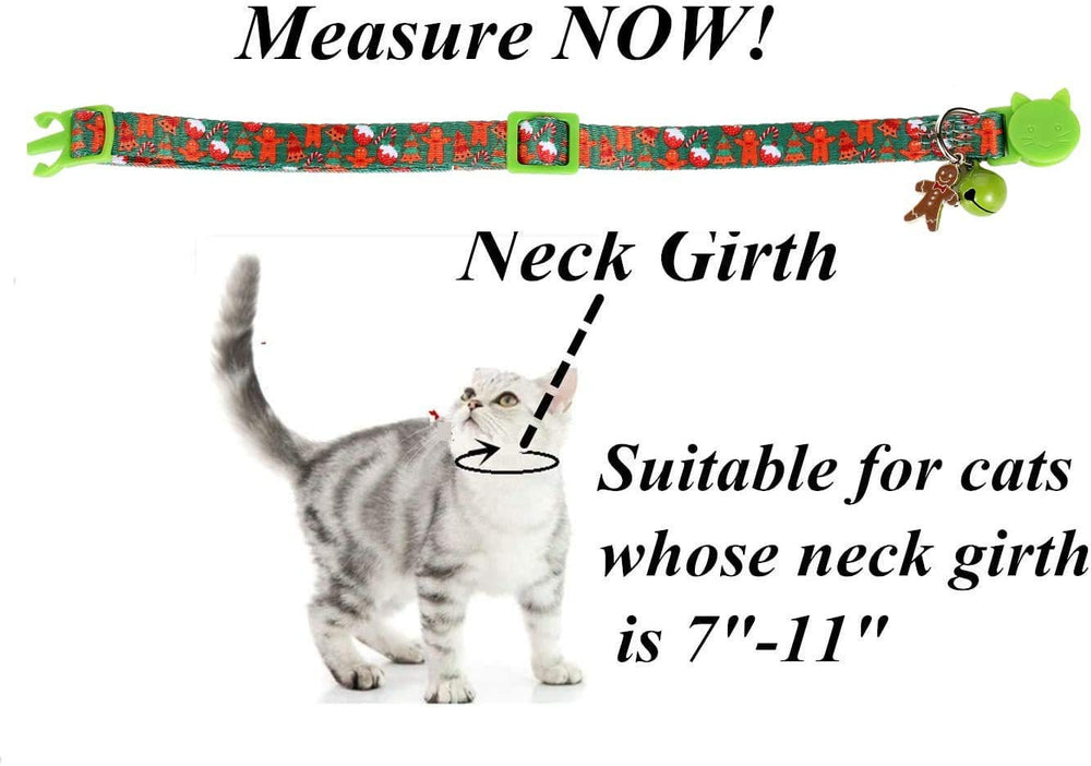 BoomBone breakaway buckle collar enhances safety and easy on-off use