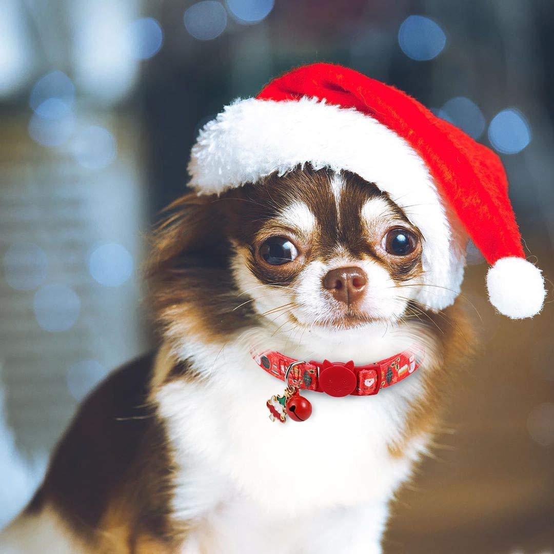 BoomBone soft nylon texture close-up for daily comfort