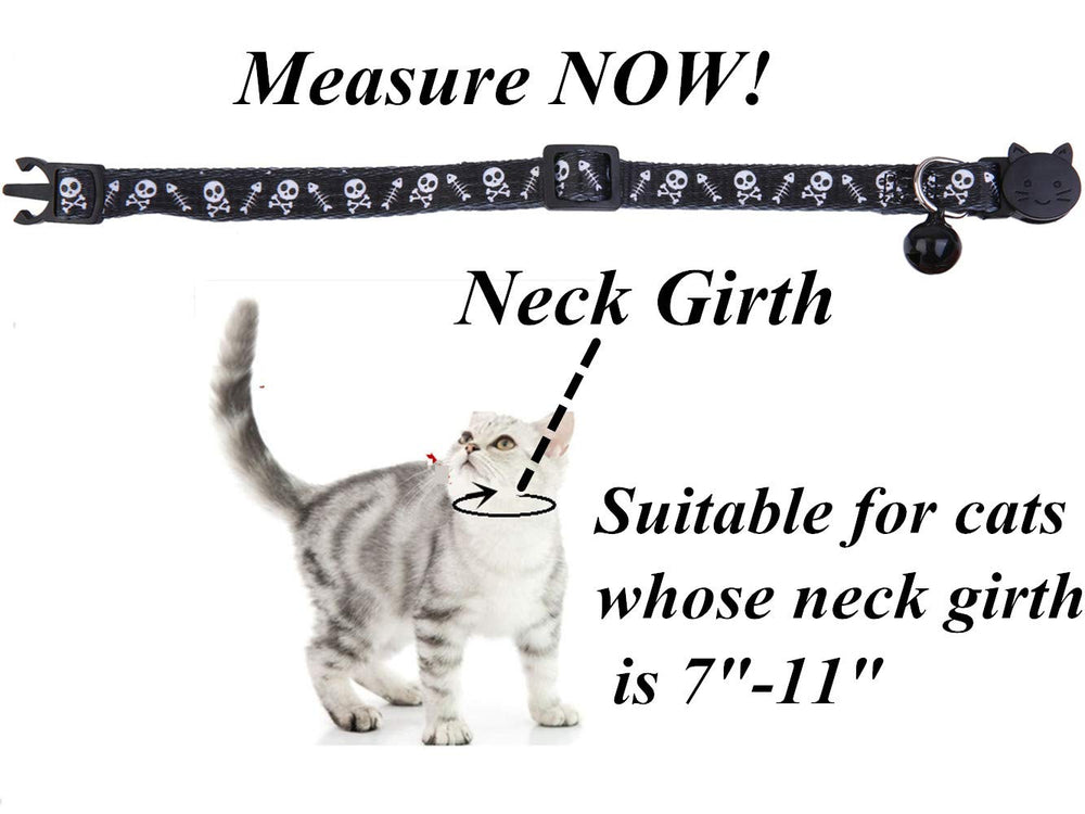 BoomBone high-density nylon webbing collar balances strength with softness