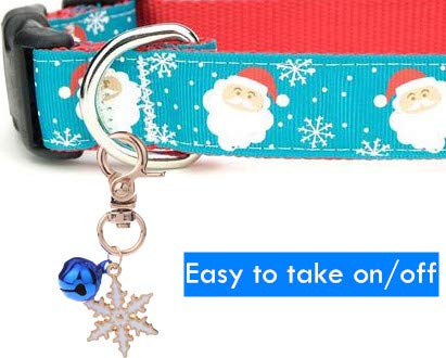 BoomBone pet-pendant-clip-set compatible with most D-rings