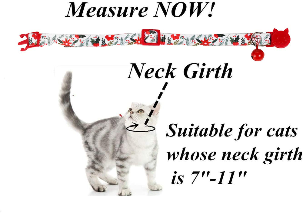 BoomBone puppy collar breakaway promotes safe festive adventures