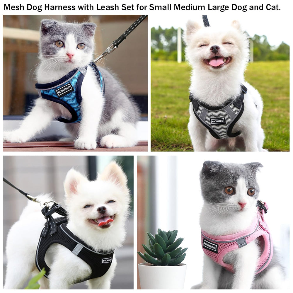 BOOMIBOO harness with double-D rings improves leash security