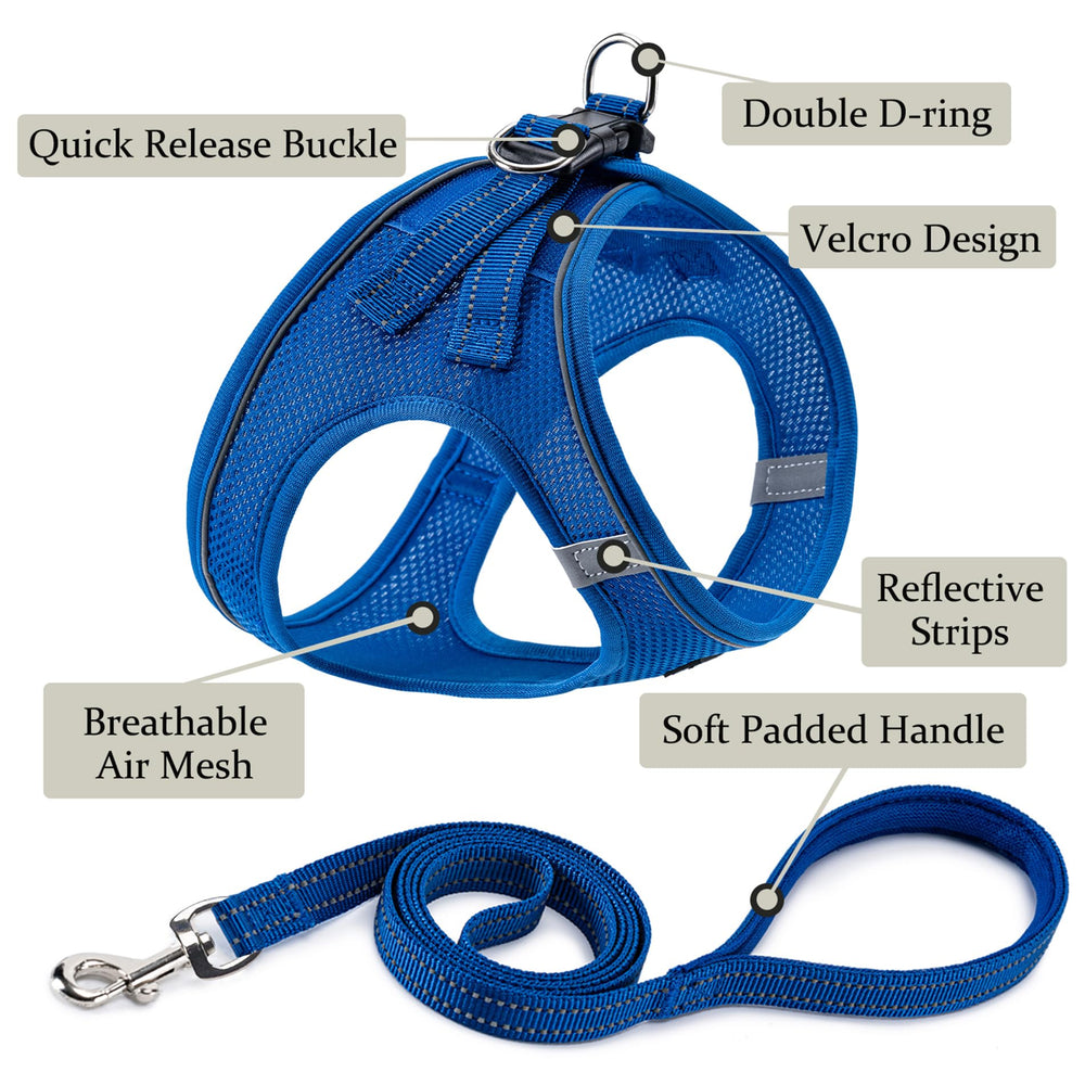 BOOMIBOO dog harness leash set blue closeup, no-pull design for calmer walks.