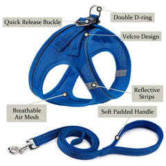 BOOMIBOO dog harness leash set blue closeup, no-pull design for calmer walks.