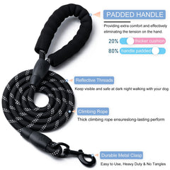 BOOMIBOO dog leash 5ft offering heavy-duty grip for confident training sessions.