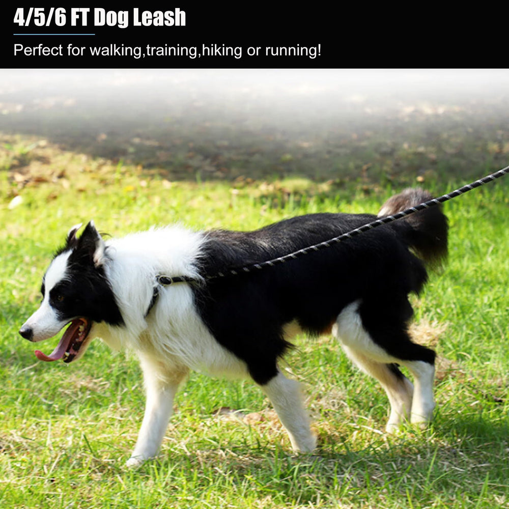 BOOMIBOO two-pack saves money while offering versatile leashes.