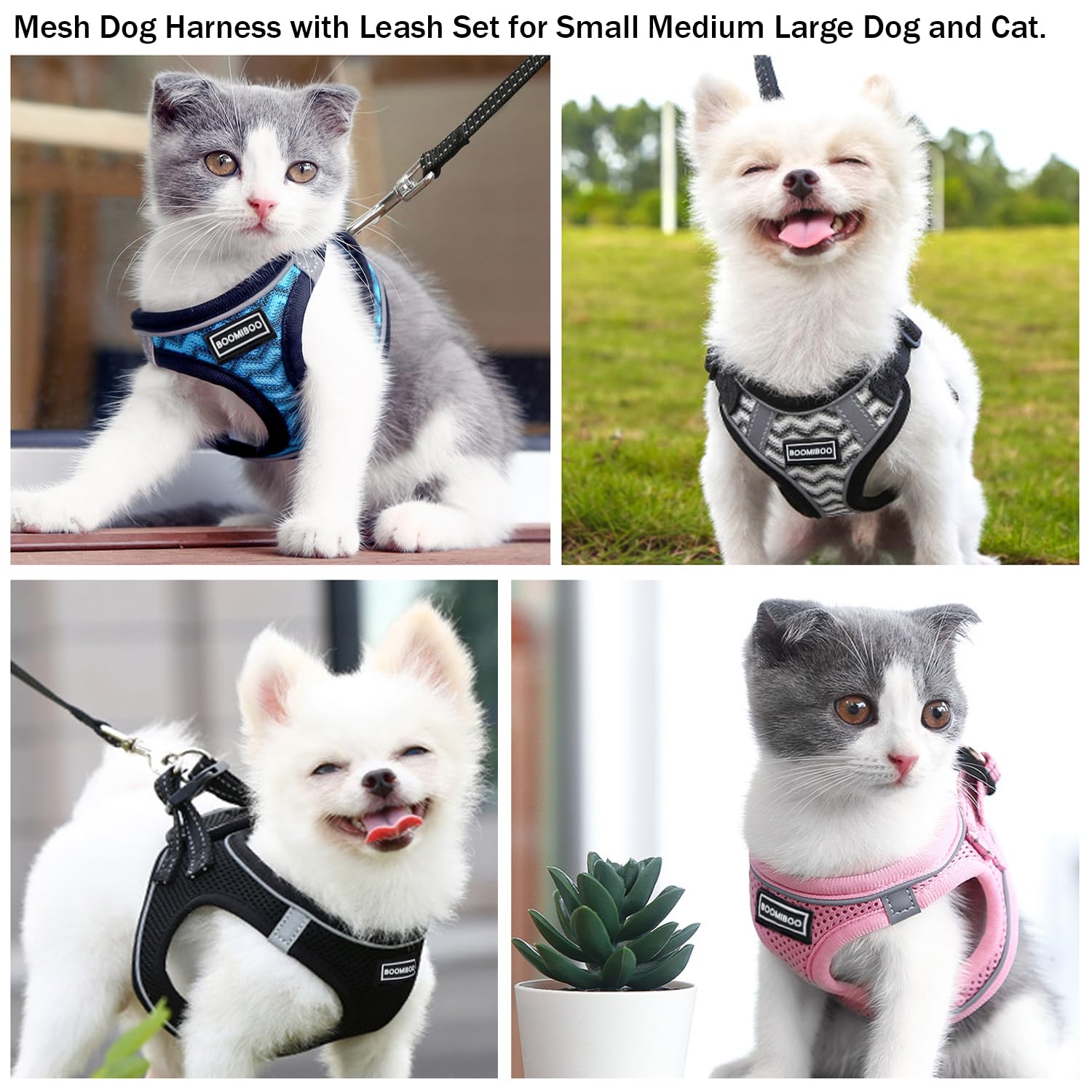 BOOMIBOO padded-handle leash for comfortable grip.