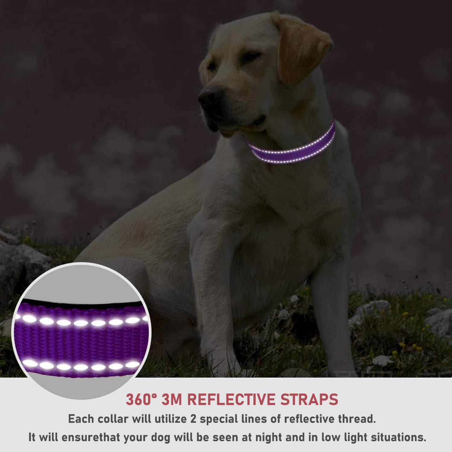 BOOMIBOO reflective dog collar chrome D-ring ensures durable leash attachment.