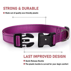 BOOMIBOO reflective dog collar action shot highlights nylon durability.