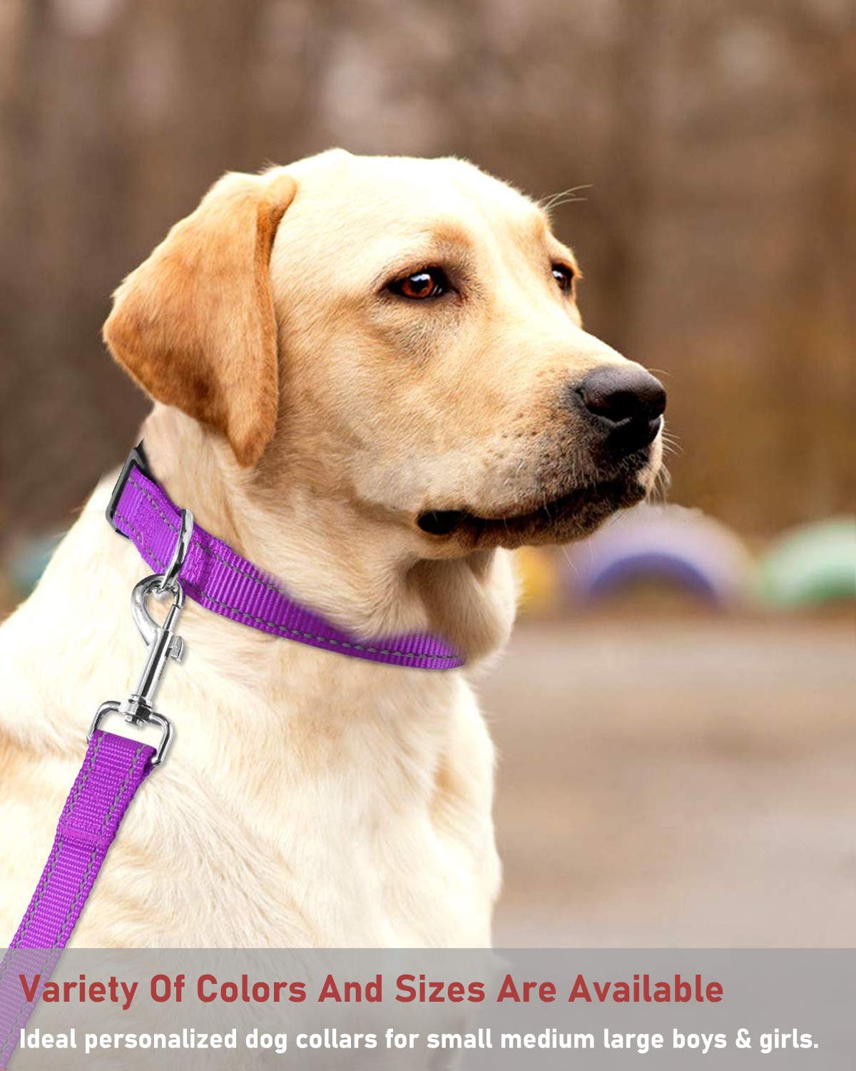 BOOMIBOO reflective dog collar tag loop keeps IDs and leashes organized.